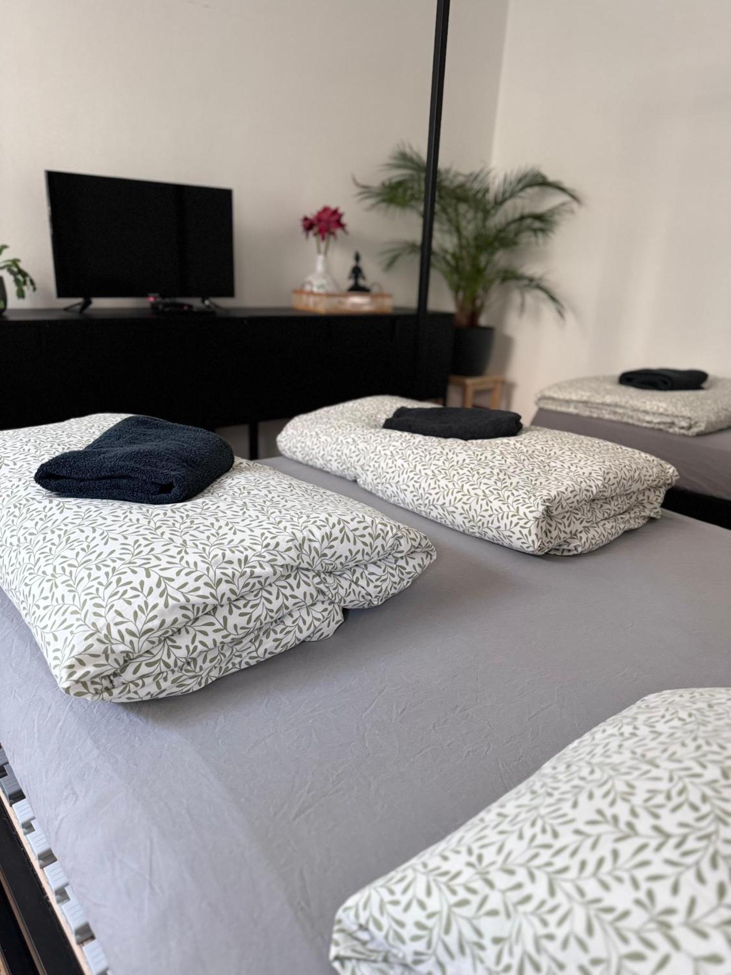 פררוב Susilova 14 Apartments I מראה חיצוני תמונה
